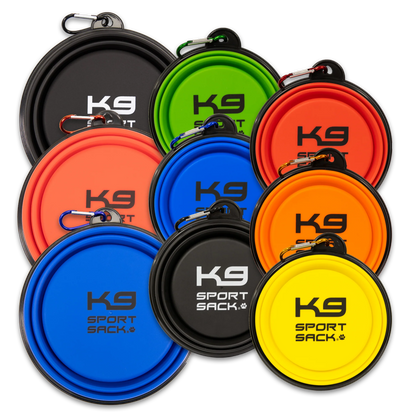 K9 Sport Saucer SpadezStore