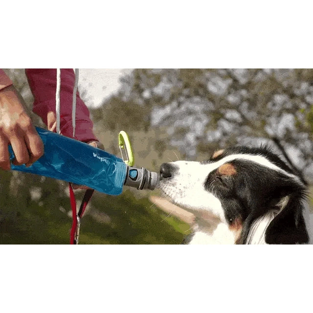 Vapur EZ Lick Portable Dog Water Bottle SpadezStore