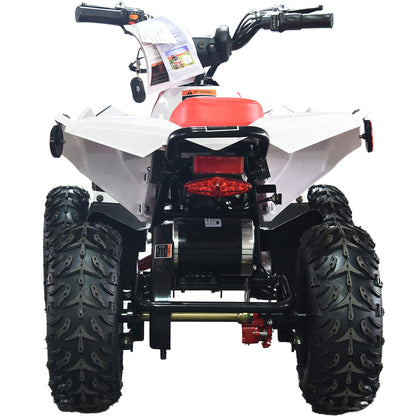 MotoTec E-Bully 36v 1000w ATV SpadezStore