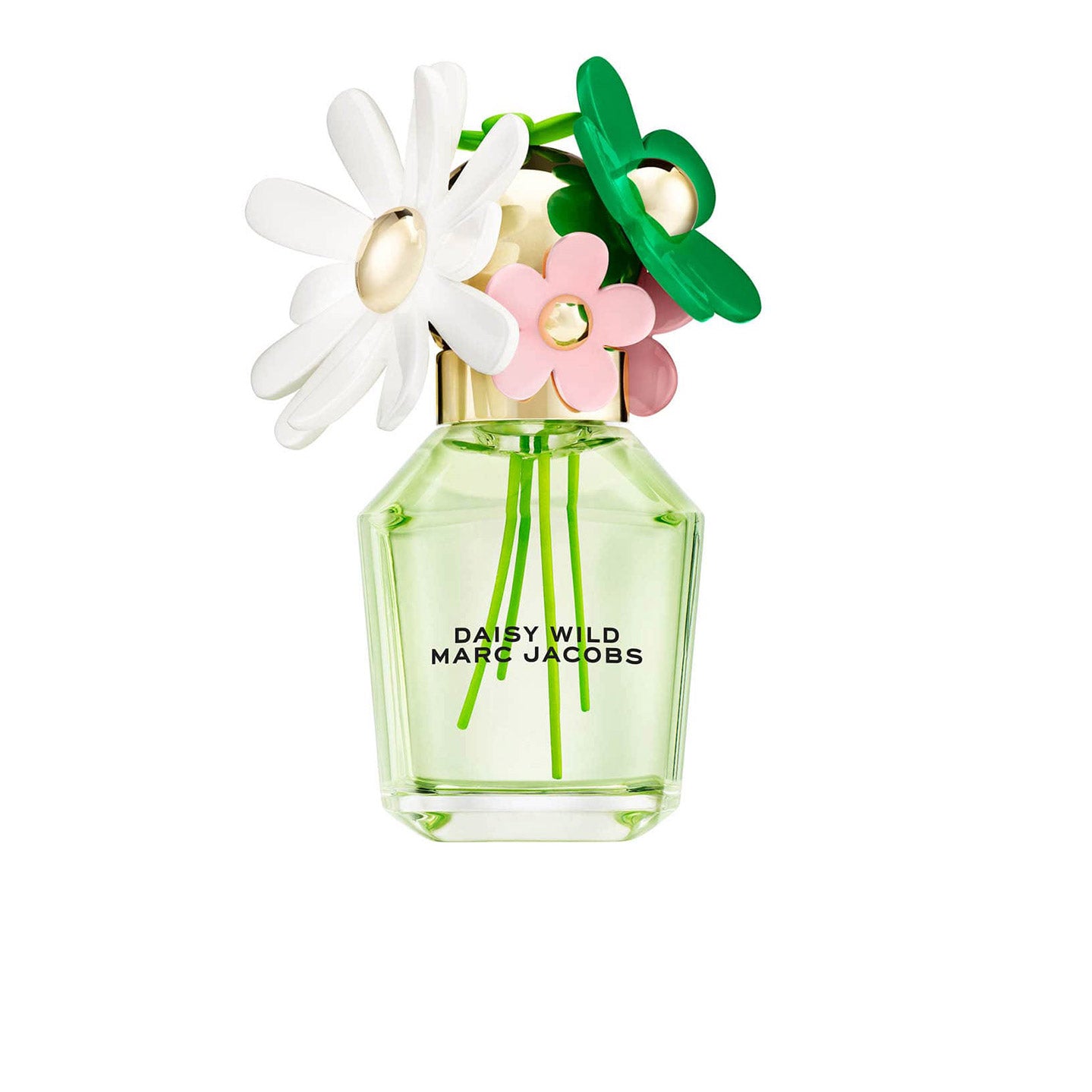 Daisy Wild Marc Jacobs Perfume for Women SpadezStore