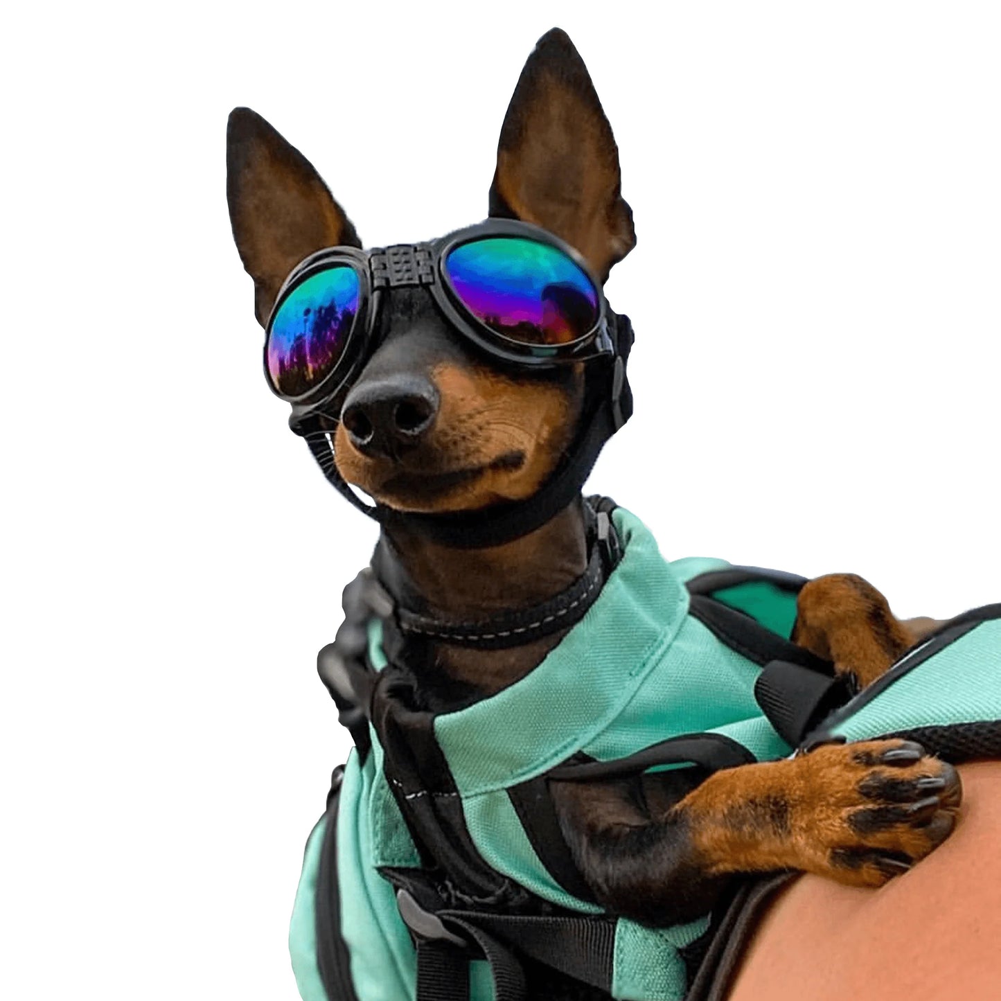 K9 Sport Shades - Dog Goggles SpadezStore