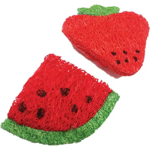 AE Cage Company Nibbles Strawberry and Watermelon Loofah Chew Toys SpadezStore