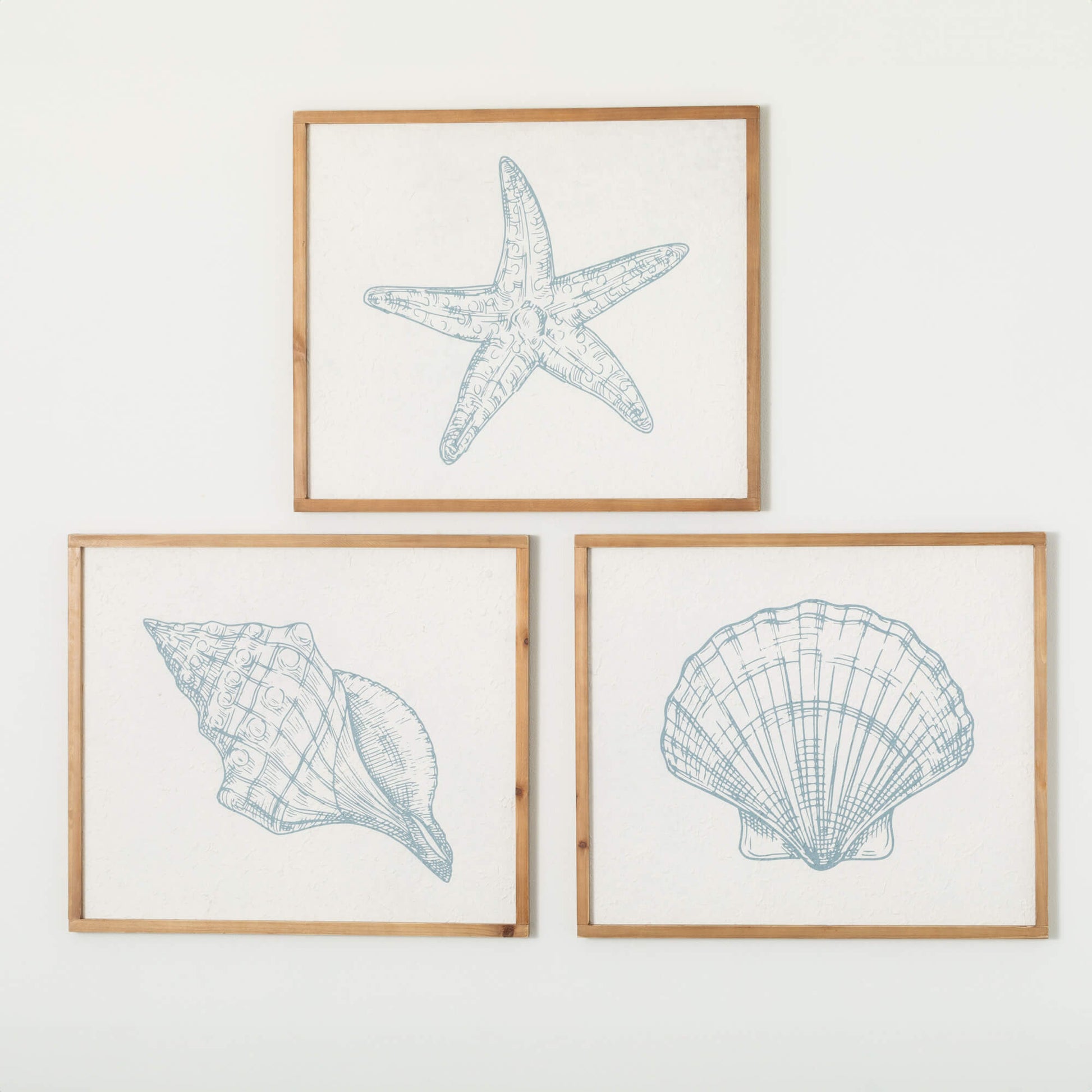 Sullivans Seashell Icons Wall Decor Trio SpadezStore