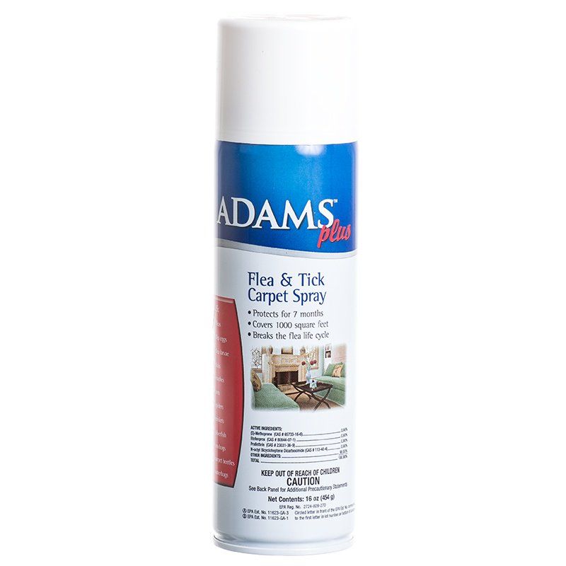 Adams Plus Inverted Carpet Spray – SpadezStore